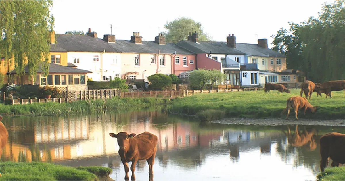 Countryside